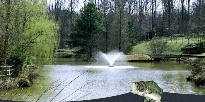 Southern Pond Management Picture 2