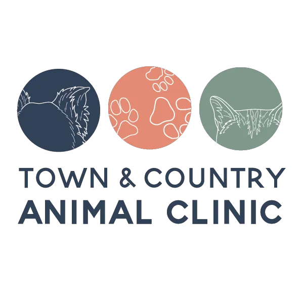 Town & Country Animal Clinic Picture 8