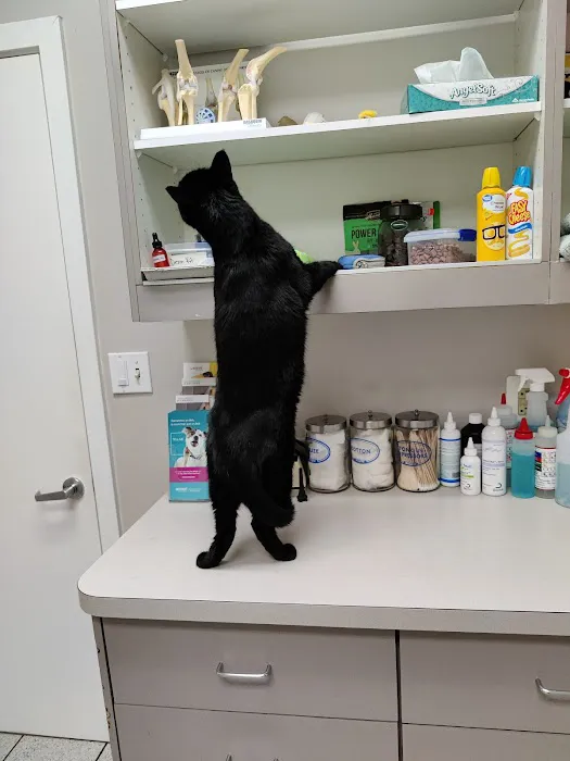 Olney-Sandy Spring Veterinary Hospital Picture 7