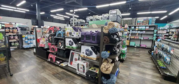 Pet Supermarket Picture 6