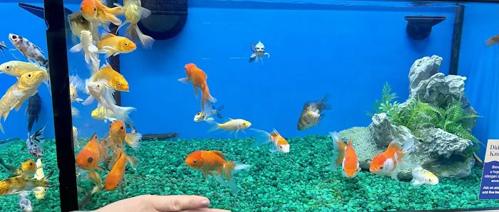 Pet Supermarket Picture 8