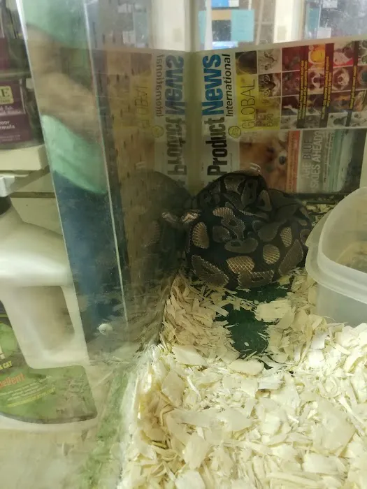 River Valley Pets Picture 6