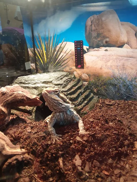 River Valley Pets Picture 9