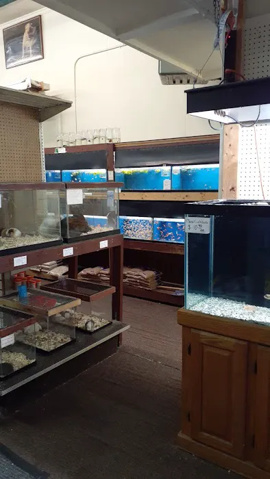 River Valley Pets Picture 4