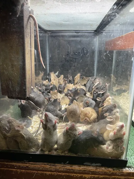 River Valley Pets Picture 7