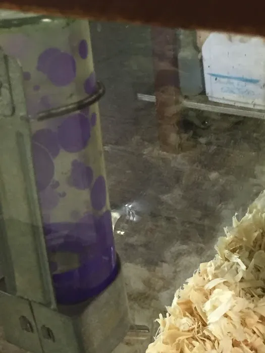 River Valley Pets Picture 8