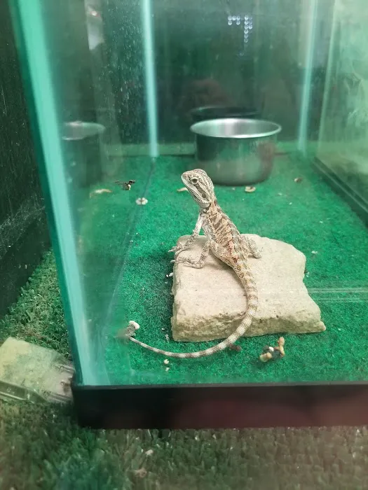 River Valley Pets Picture 5