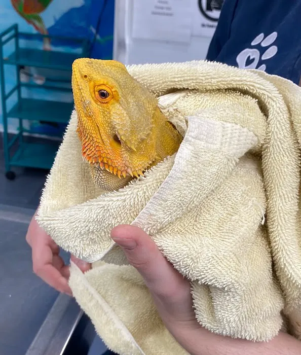 Best Friends' Veterinary Hospital Picture 9