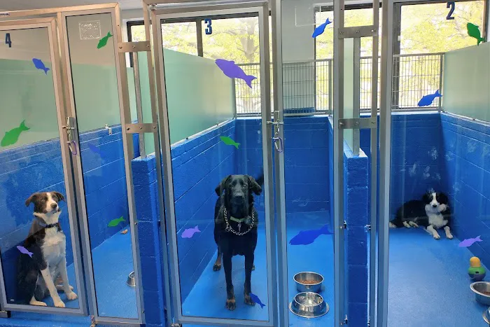 Best Friends' Veterinary Hospital Picture 3