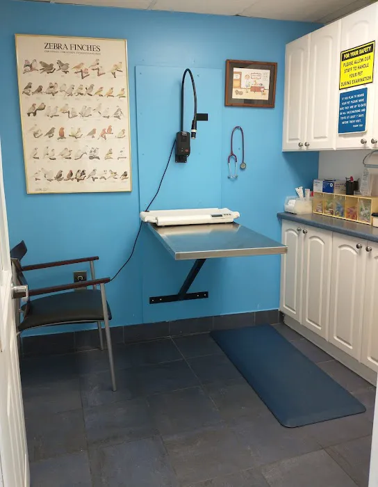 Best Friends' Veterinary Hospital Picture 5
