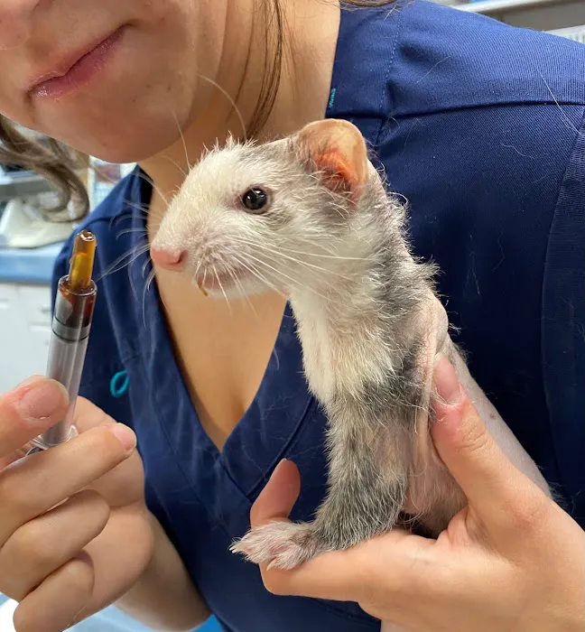 Best Friends' Veterinary Hospital Picture 6