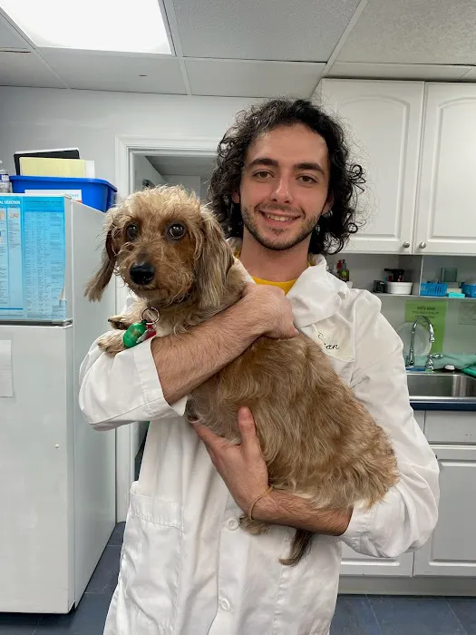 Best Friends' Veterinary Hospital Picture 8