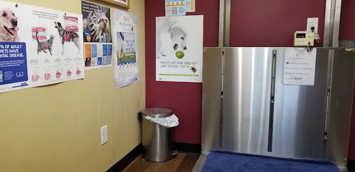 Norbeck Animal Clinic Picture 5