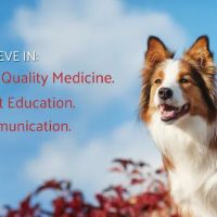 Norbeck Animal Clinic ico