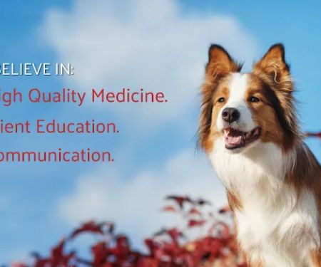 Norbeck Animal Clinic