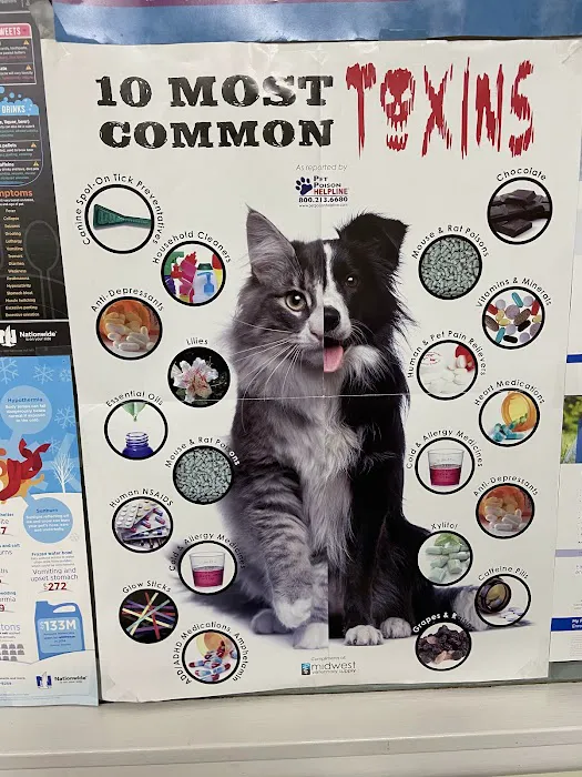 Montgomery Village Veterinary Center Picture 1