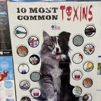 Montgomery Village Veterinary Center ico