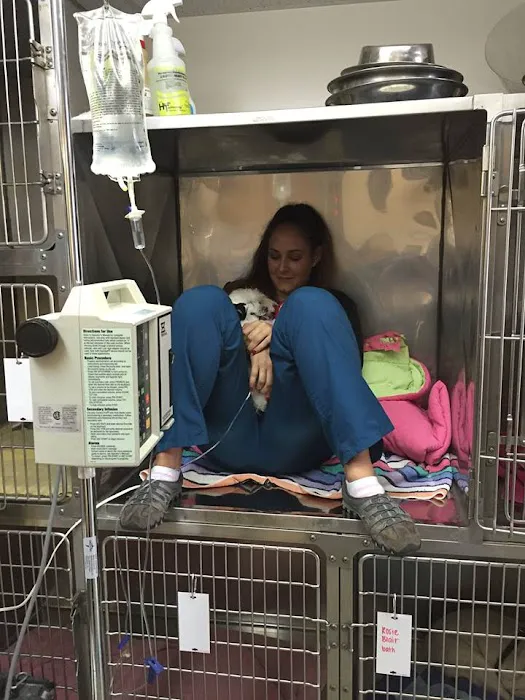 Flower Valley Veterinary Clinic Picture 5