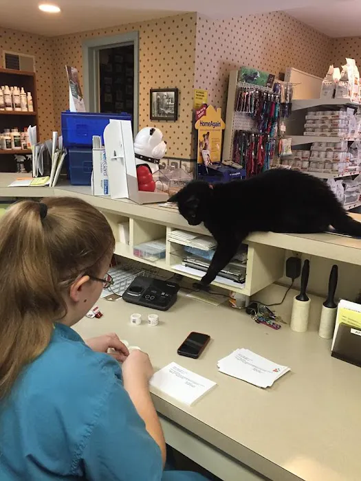 Flower Valley Veterinary Clinic Picture 4