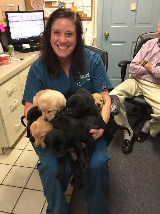 Flower Valley Veterinary Clinic Picture 10