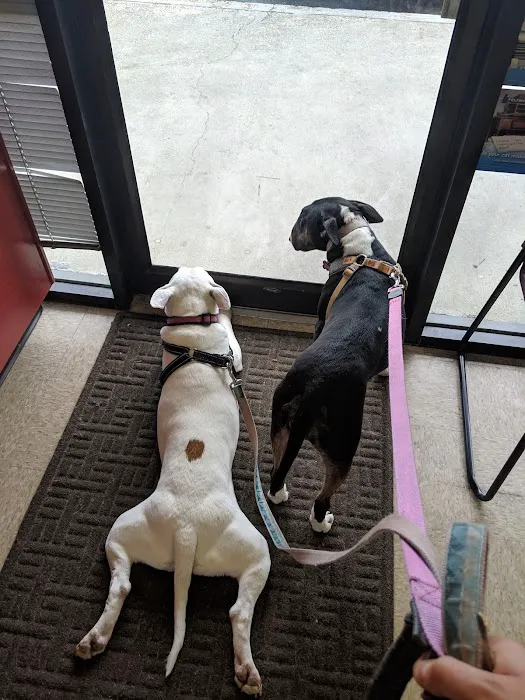 Fulton Animal Hospital Picture 3