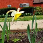 Hickory Ridge Animal Hospital