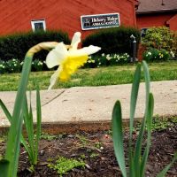 Hickory Ridge Animal Hospital ico