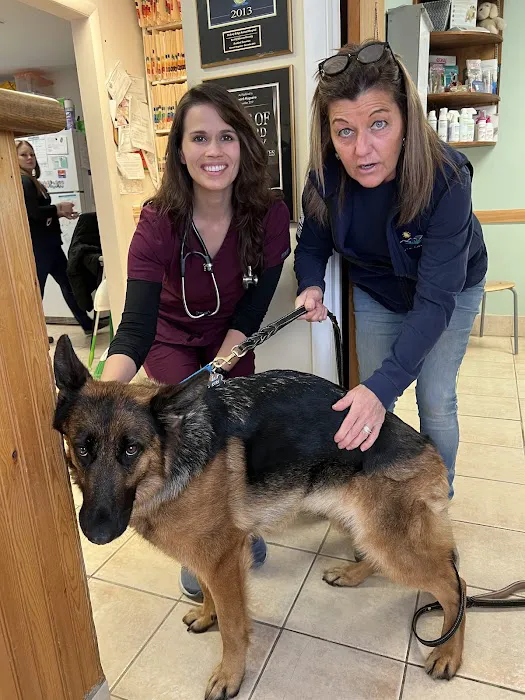 Hickory Ridge Animal Hospital Picture 5