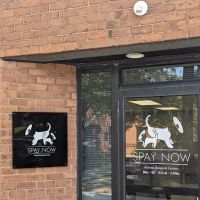Spay Now Animal Surgery Clinic ico