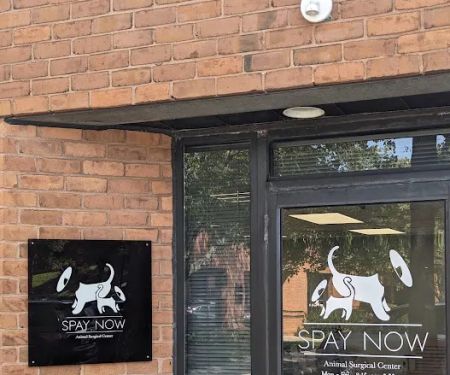 Spay Now Animal Surgery Clinic