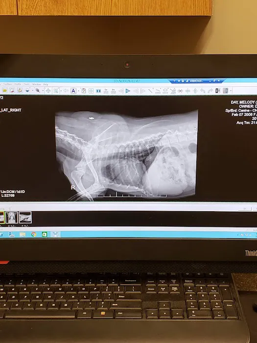Chesapeake Veterinary Referral Center (CVRC) Picture 2