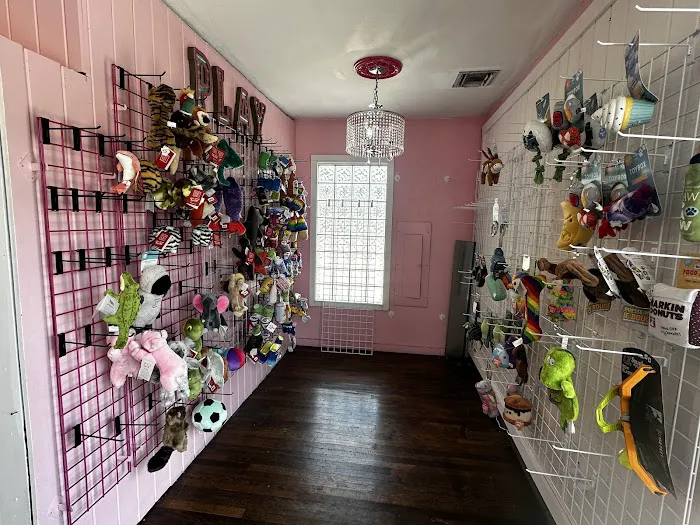 Woof Gang Bakery & Grooming Austin Picture 9