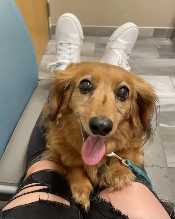Pet+E.R. Picture 6