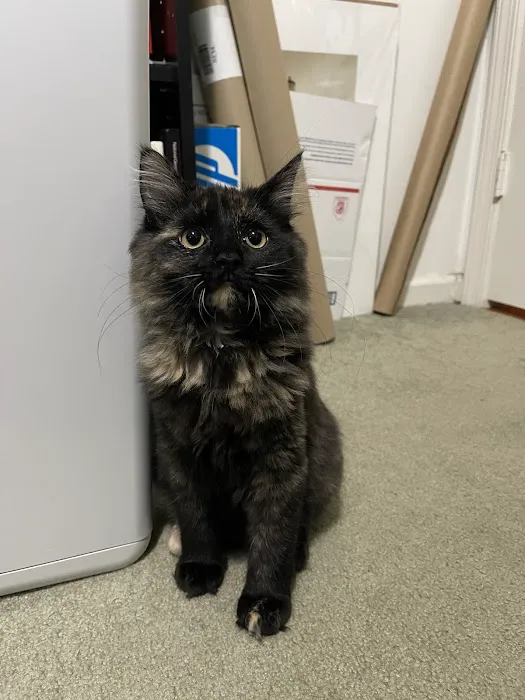 Pet+E.R. Picture 7