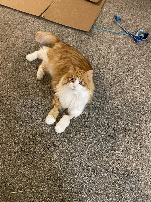Pet+E.R. Picture 4