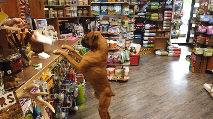 Great Outdogs Picture 5