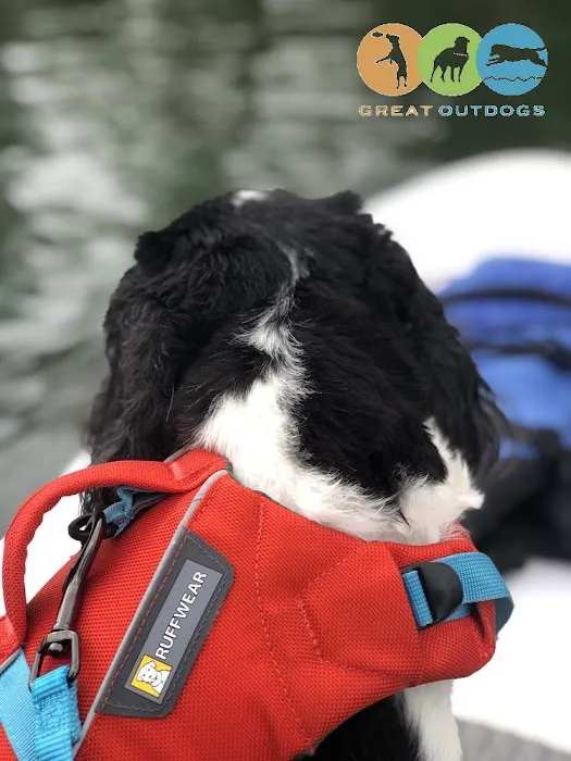 Great Outdogs Picture 4