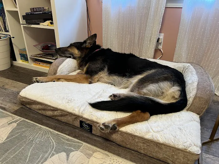 Great Outdogs Picture 1
