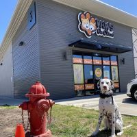 Paws on Chicon ico