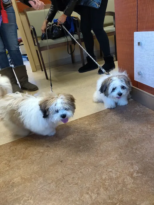 VCA Columbia Animal Hospital at Centre Park Picture 7