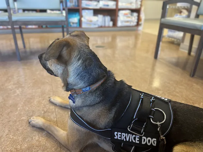 VCA Columbia Animal Hospital at Centre Park Picture 4