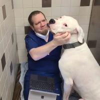 VCA Columbia Animal Hospital at Centre Park ico