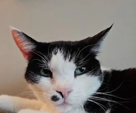 Petco