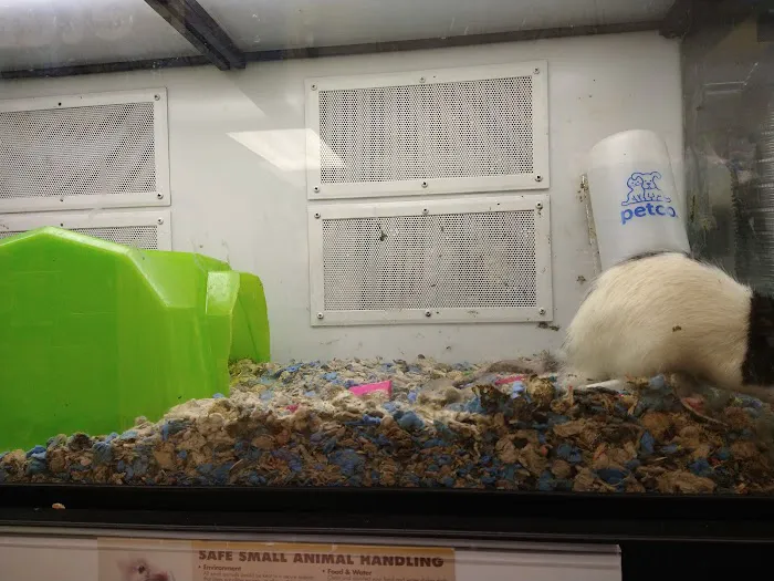 Petco Picture 11