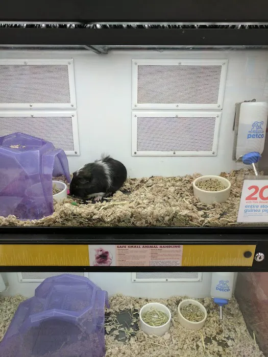 Petco Picture 3