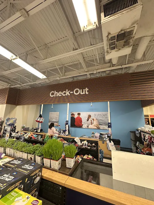Petco Picture 8