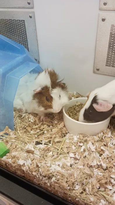 Petco Picture 6