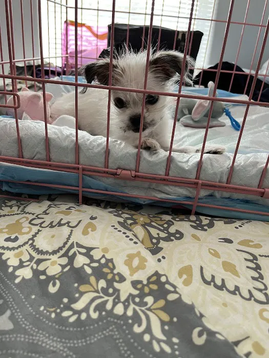Petco Picture 5