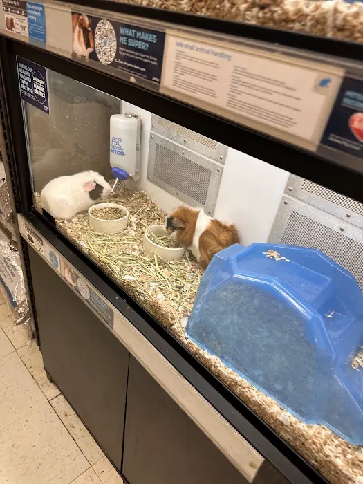 Petco Picture 9