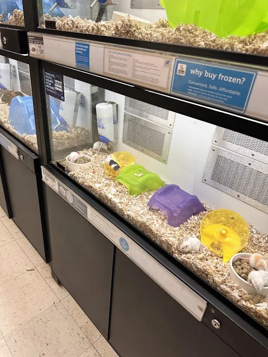Petco Picture 7